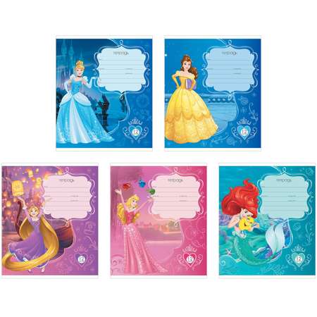 Тетрадь Disney клетка 12 лист. в ассортименте