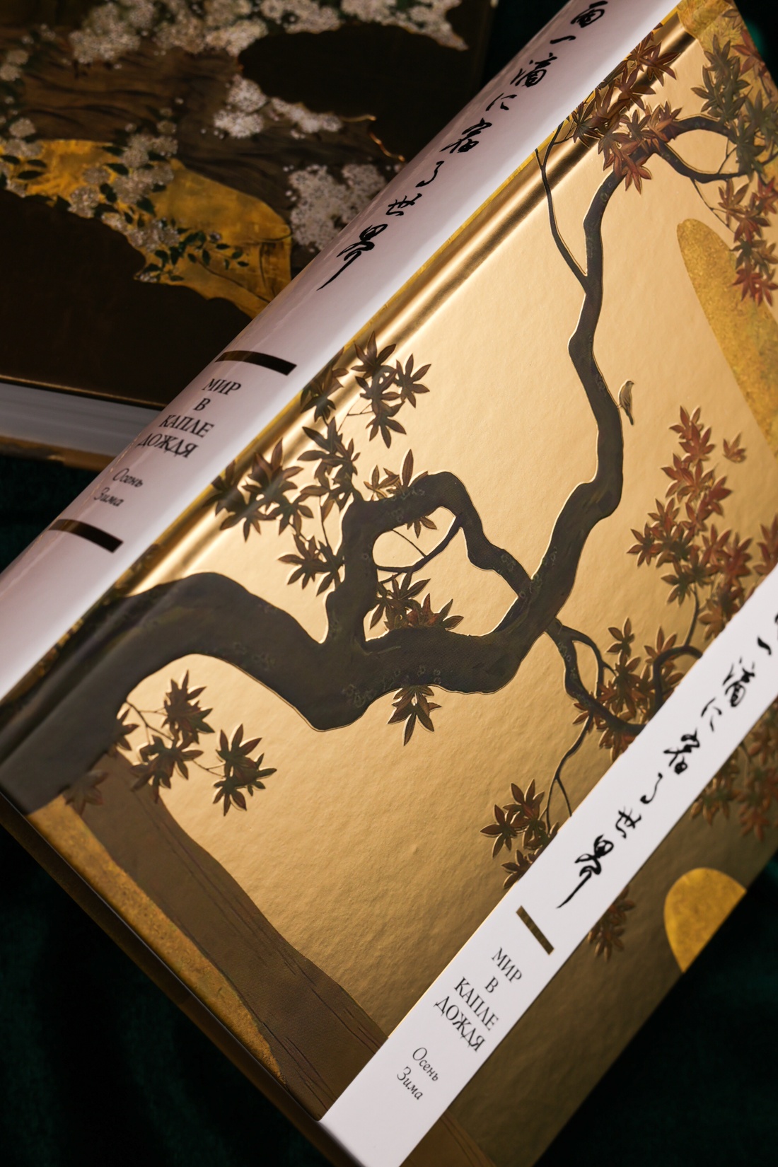 Книга АЗБУКА Мир в капле - фото 15