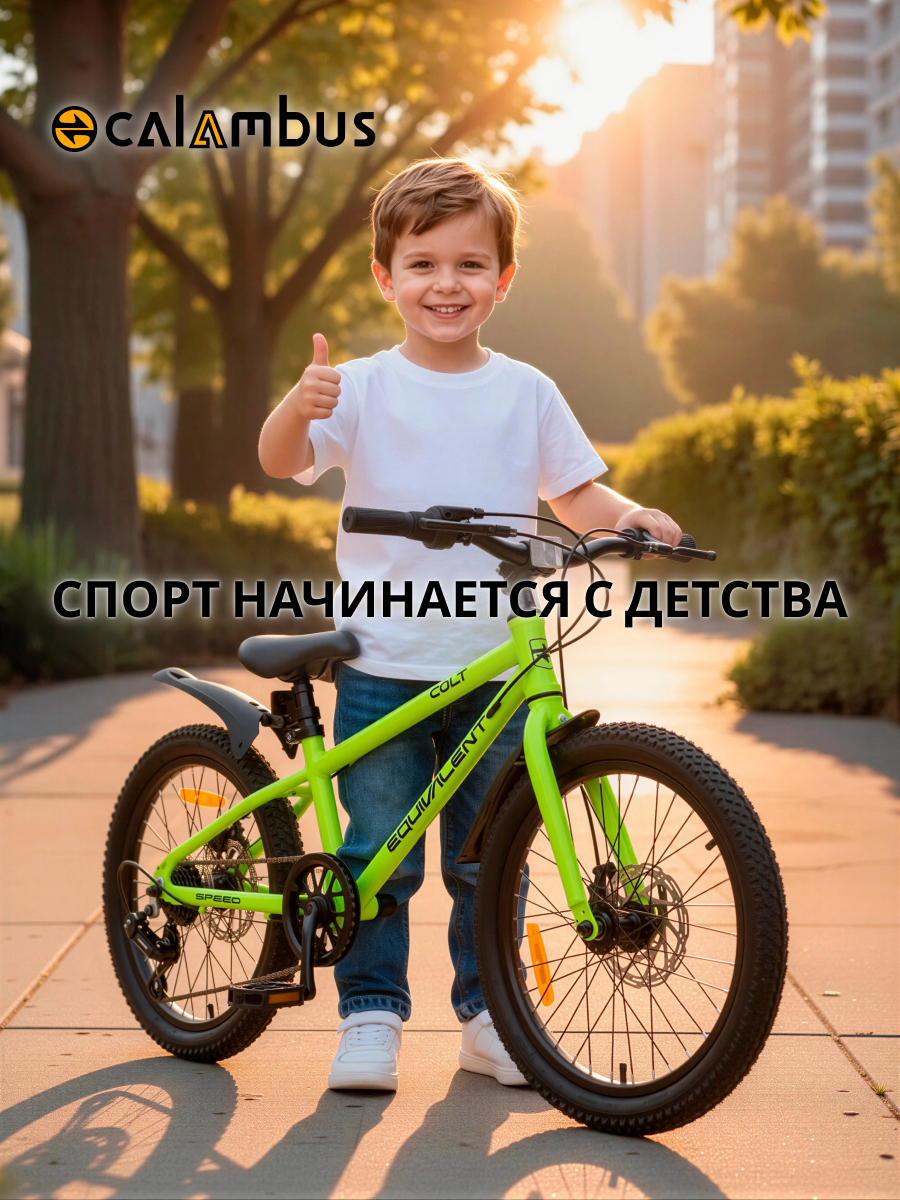 Двухколесный велосипед EQUIVALENT 20 дюймов - фото 2