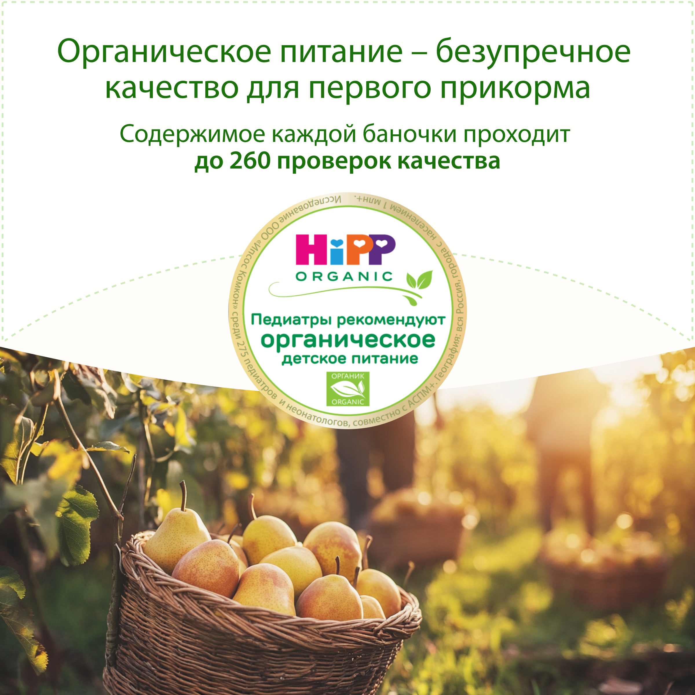 Пюре Hipp Груша с 4 мес 80 г - фото 11