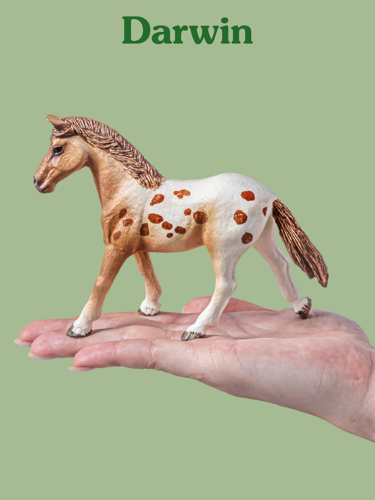 Фигурка DARWIN Лошадь Аппалуза - фото 2