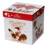 Шоколадные ракушки Vitaminka с ореховым пралине