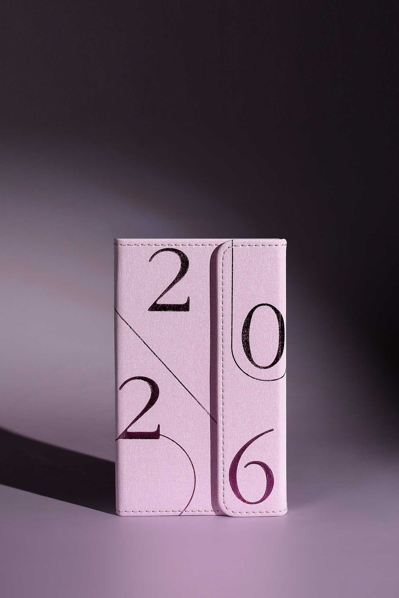 Ежедневник Феникс + ESCALADA 64 лист. - фото 1