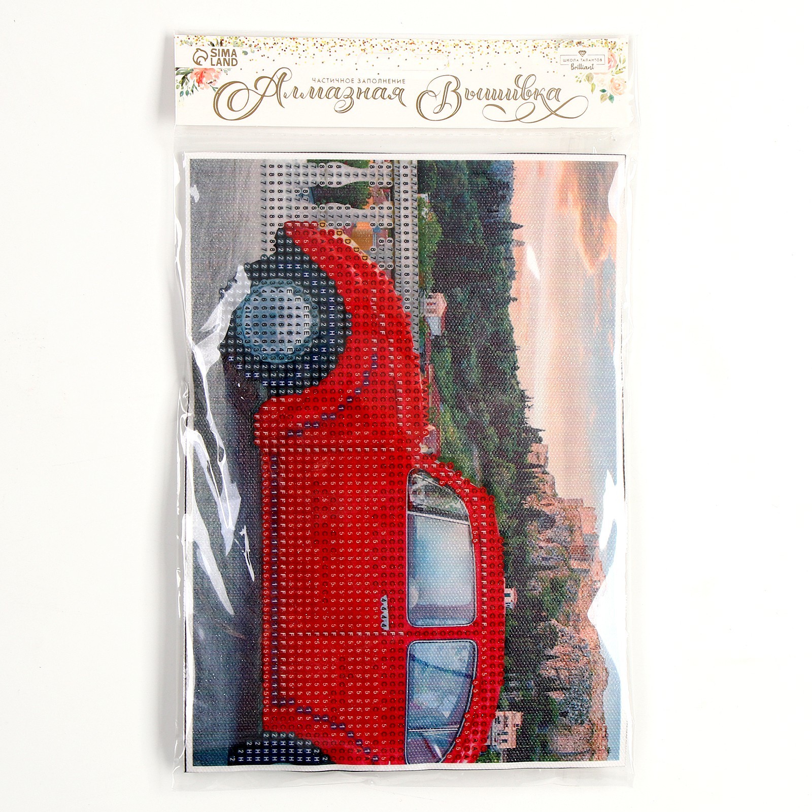 Алмазная мозаика Школа Талантов Машина - фото 1