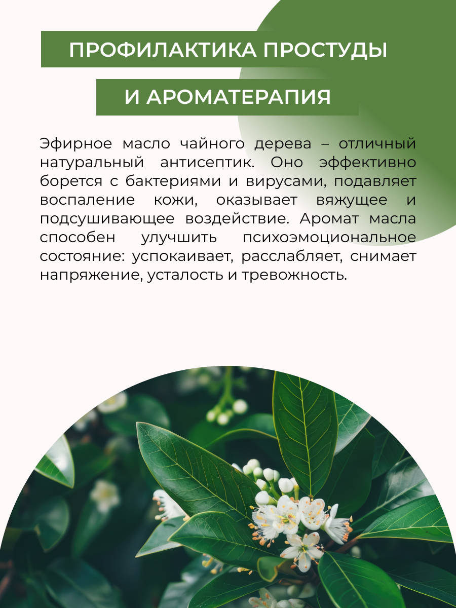 Масло Siberina натуральное «Чайного дерева» 8 мл - фото 5