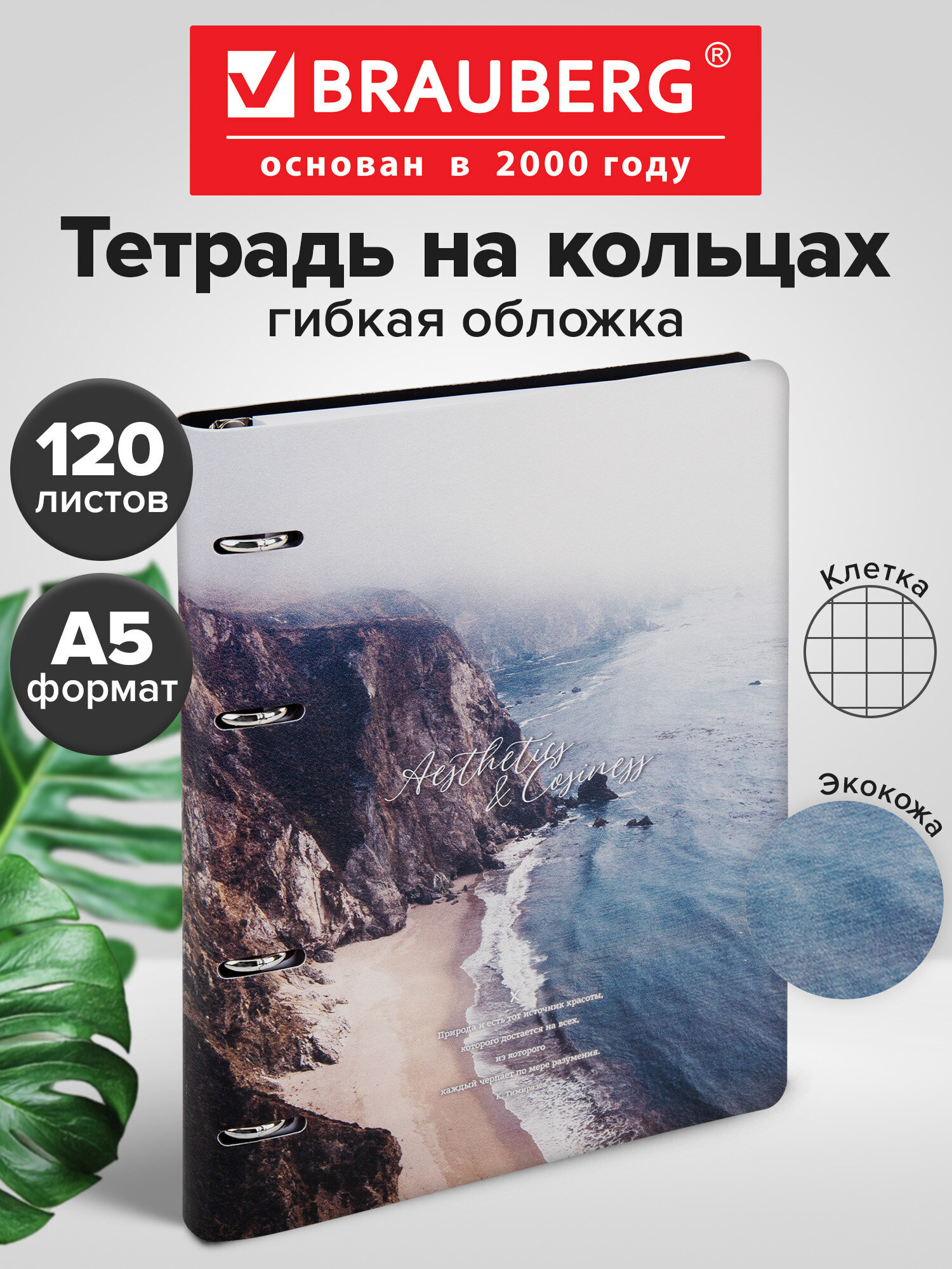 Тетрадь со сменным блоком Brauberg клетка 120 лист. - фото 1