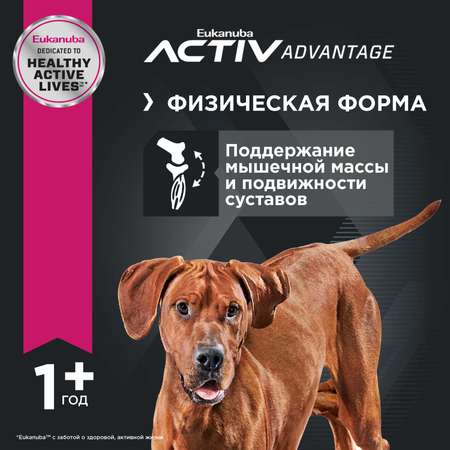 Корм Eukanuba Dog 3кг для взрослых собак крупных пород сухой