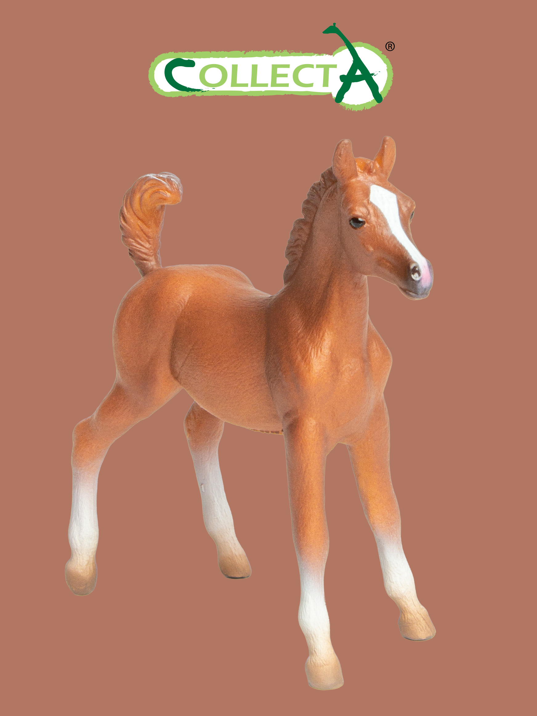 Фигурка Collecta Жеребенок лошади Арабской - фото 1