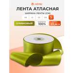 Лента атласная Айрис 5 см 22,86 м