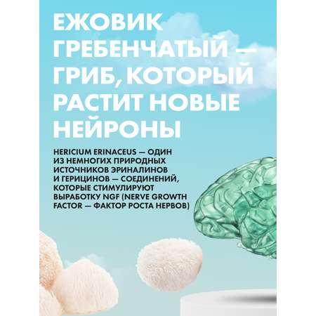 Ежовик гребенчатый мицелий Guten Morgen капсулы 700 мг для мозга и памяти, ions mane
