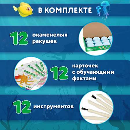 Набор для раскопок Brauberg