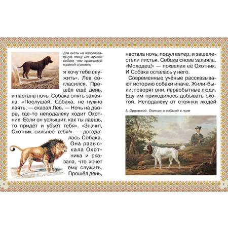 Книга Белый город Каникулы и будни собаки