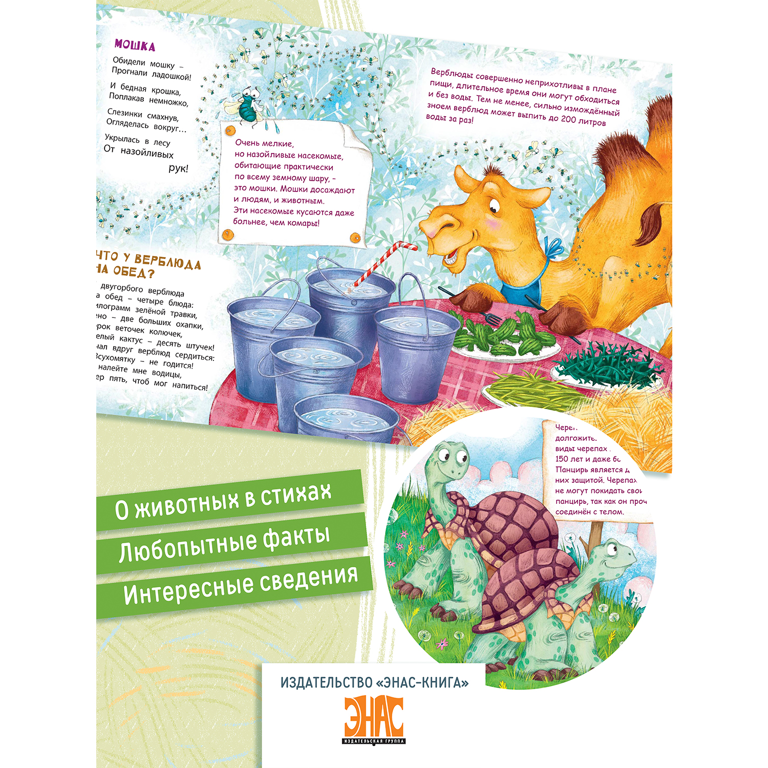 Книга ЭНАС-книга В небе и на земле - фото 3