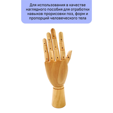 Манекен Gamma_