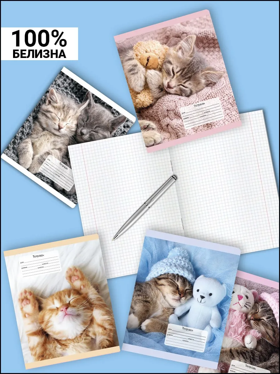 Тетрадь AXLER клетка 12 лист. 10 шт. - фото 2