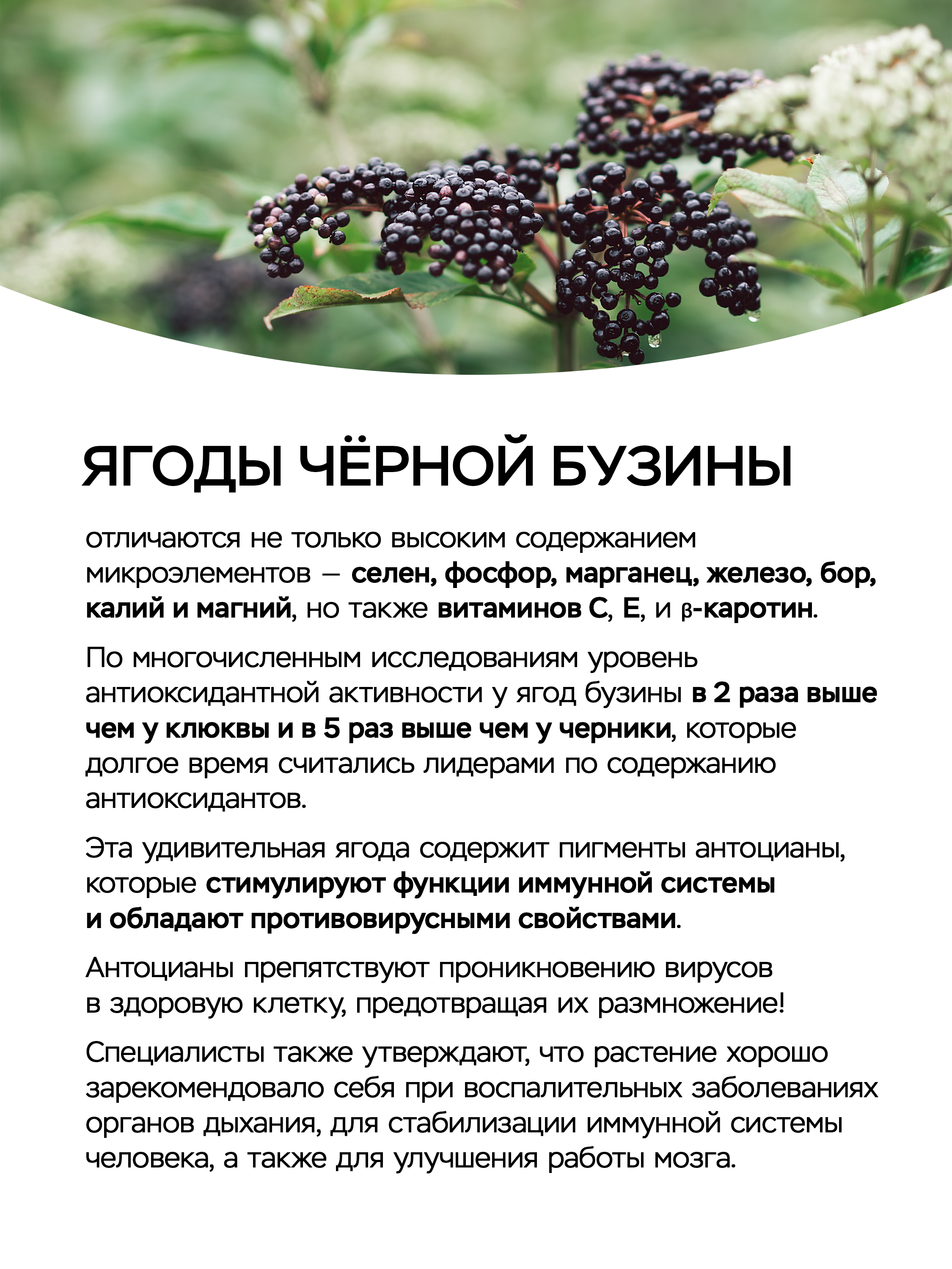Жидкий коллоидный полиэкстракт VITAUCT Бузина Иммуно - фото 3