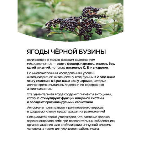Жидкий коллоидный полиэкстракт VITAUCT Бузина Иммуно