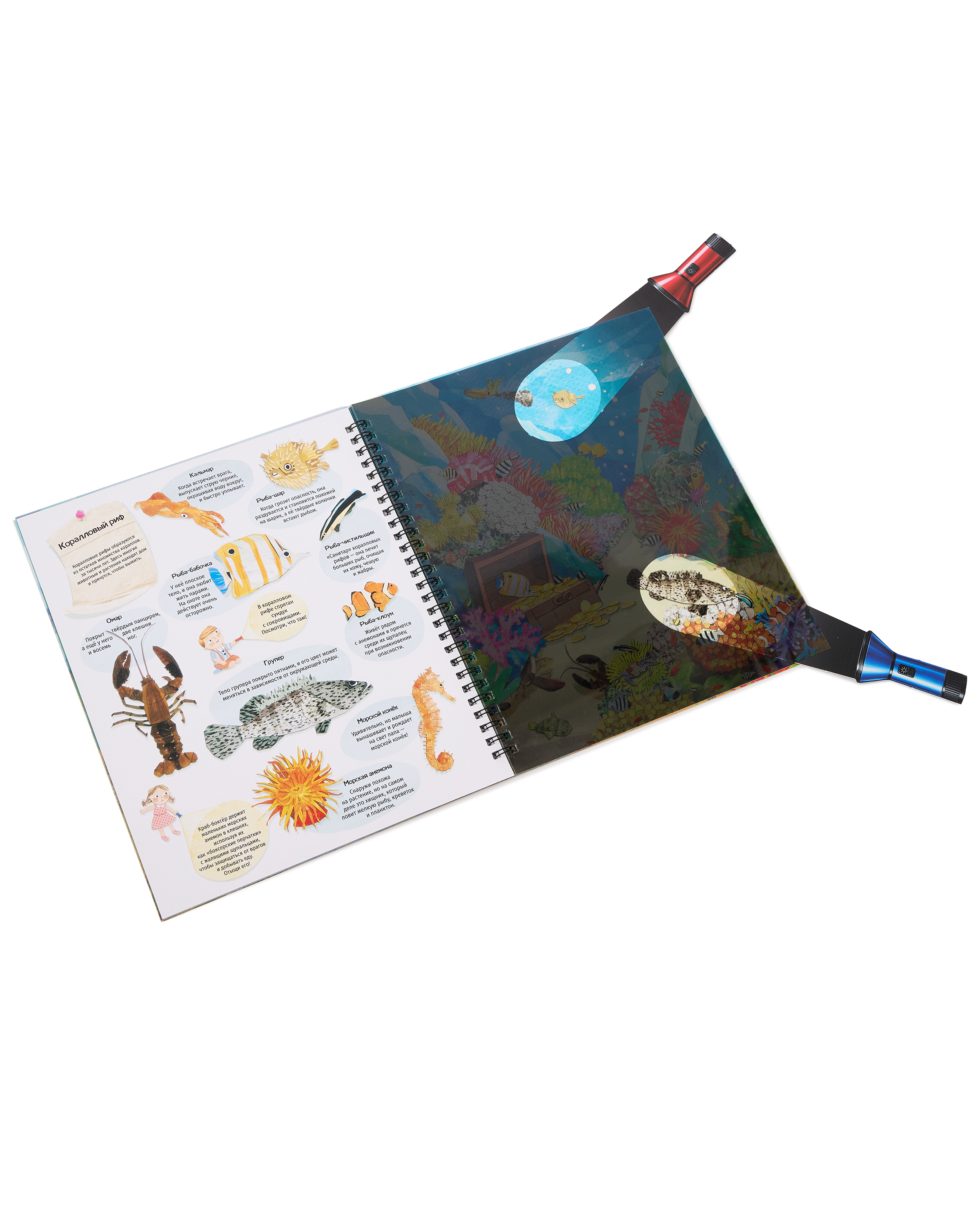 Книжка с фонариком Attivio Тайны океана 21*25см - фото 4