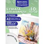 Художественная бумага Brauberg для акварели 10 лист.
