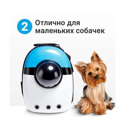Рюкзак для животных ZDK ZooWell