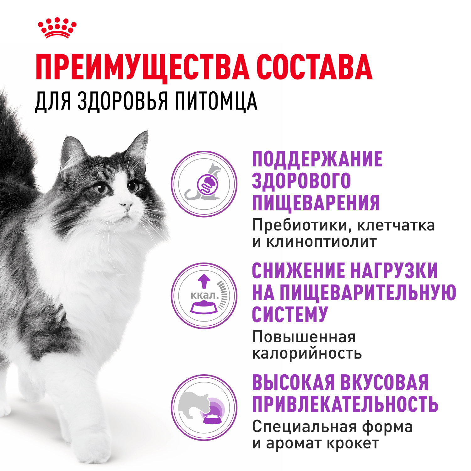 Корм сухой для кошек ROYAL CANIN Sensible 33 4кг с чувствительной пищеварительной системой - фото 6