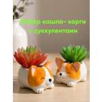 Искусственные цветы SOFANNA в горшке 2шт Корги