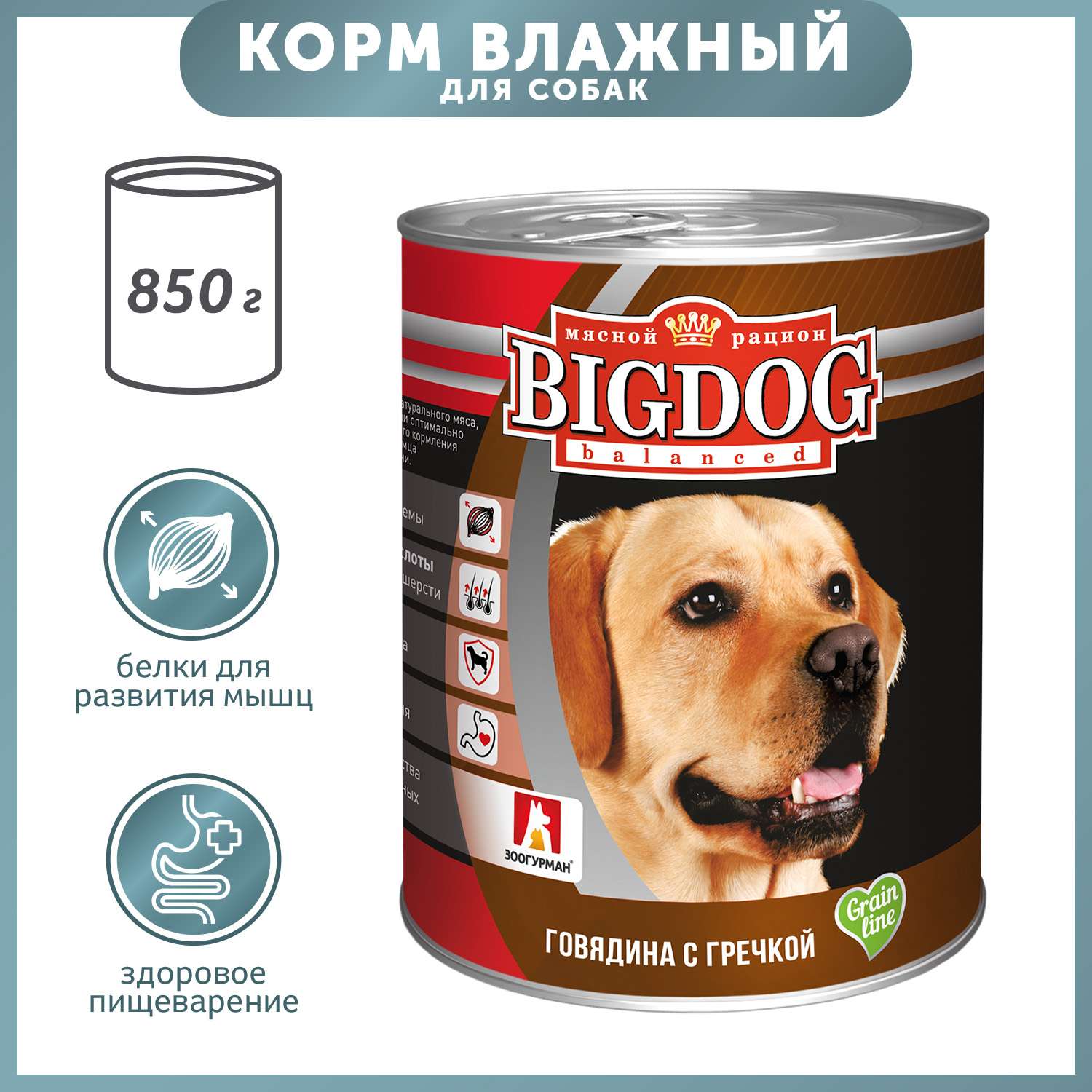 Корм для собак Зоогурман Big Dog 850г говядина с гречкой - фото 1