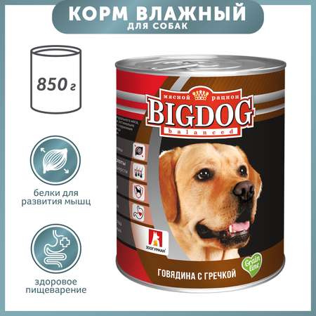 Корм для собак Зоогурман Big Dog 850г говядина с гречкой