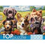 Пазл Рыжий кот 1000 эл. Веселое селфи щенков