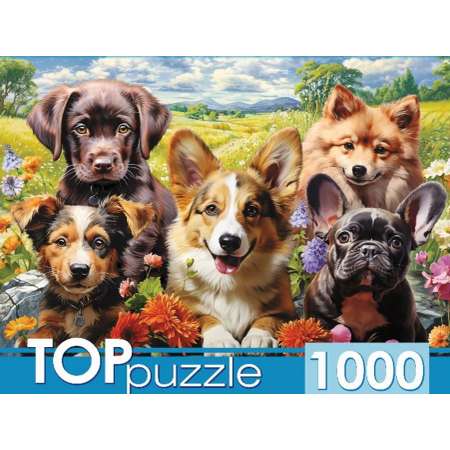 Пазл Рыжий кот 1000 эл. Веселое селфи щенков