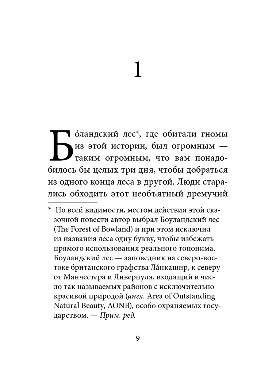 Комплект из 2-х книг/ Добрая книга / Гномы Боландского леса+ Волшебник/ Денис Уоткинс-Питчфорд - фото 28