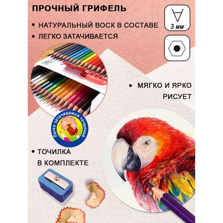 Карандаши цветные ACMELIAE 37 шт.