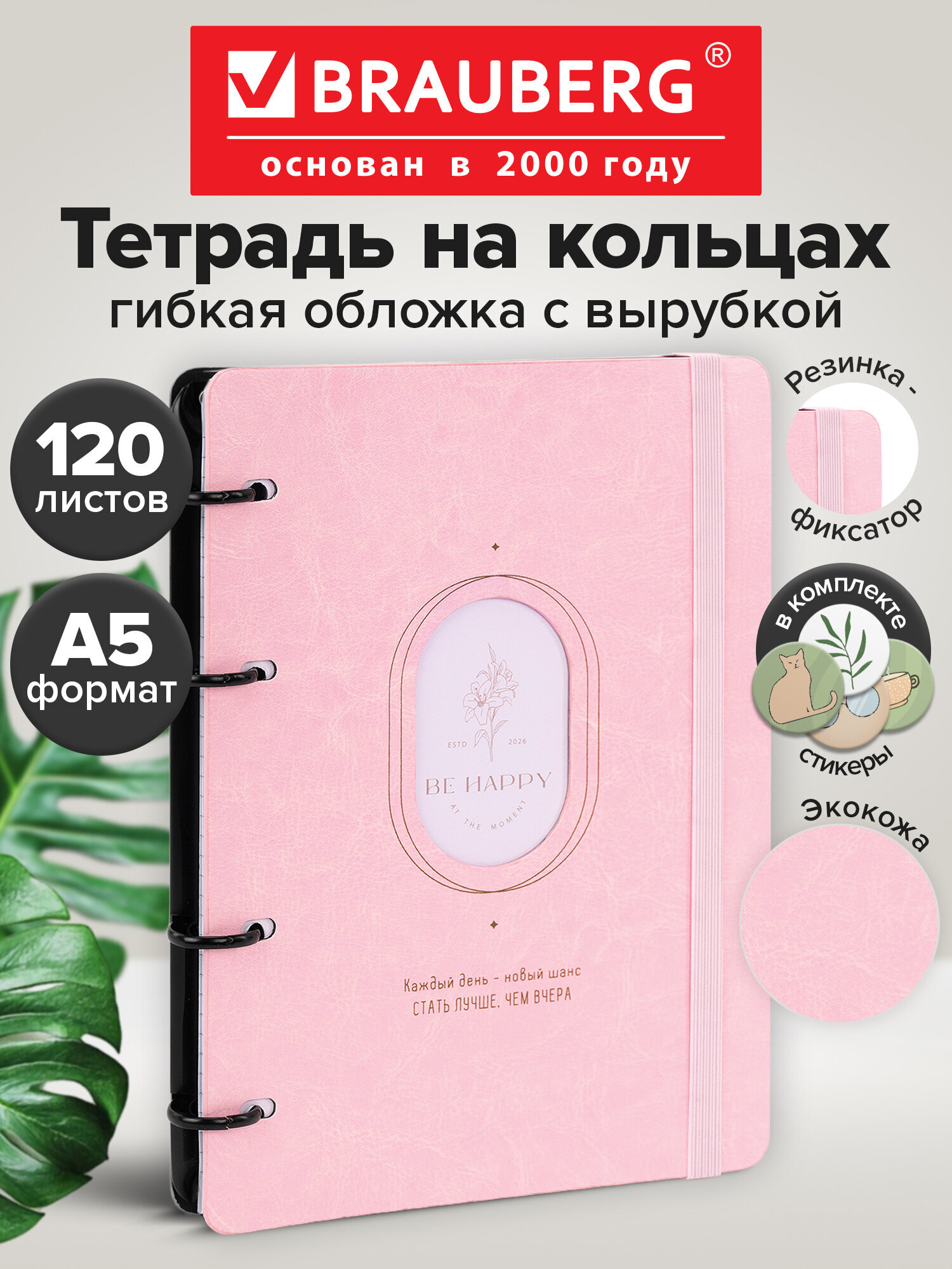 Изображение товара Тетрадь Brauberg со сменным блоком Rhythm 120 листов А5 стильная и практичная Изображение товара Тетрадь Brauberg со сменным блоком Rhythm 120 листов А5 стильная и практичная