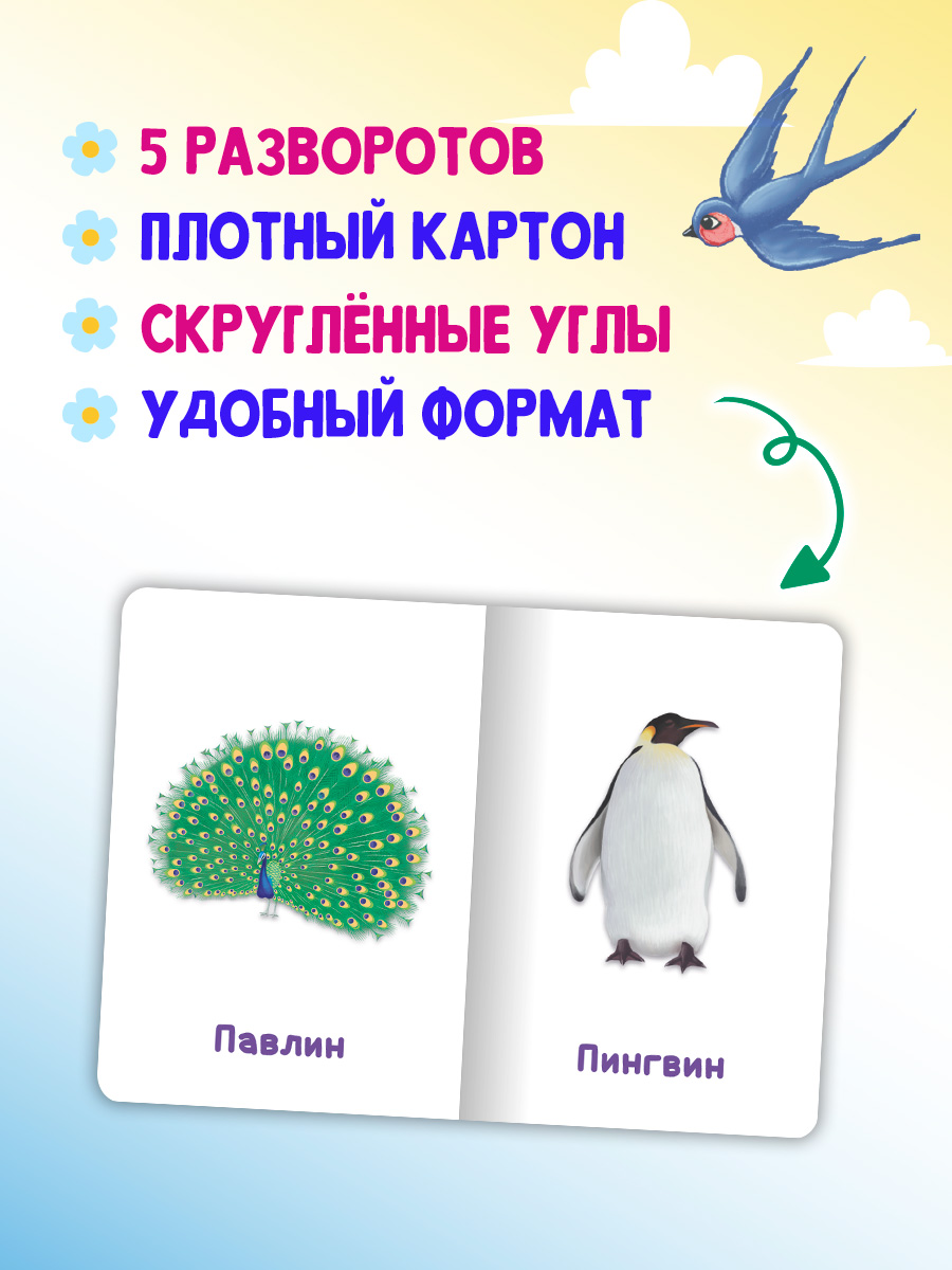 Книжки Проф-Пресс картонные мини 4 шт. Дикие и домашние животные+транспорт+овощи фрукты ягоды - фото 2