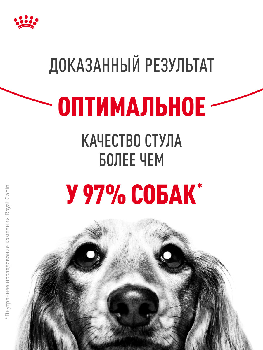 Корм для собак Royal Canin 12кг Medium Digestive Care cредних сухой - фото 4