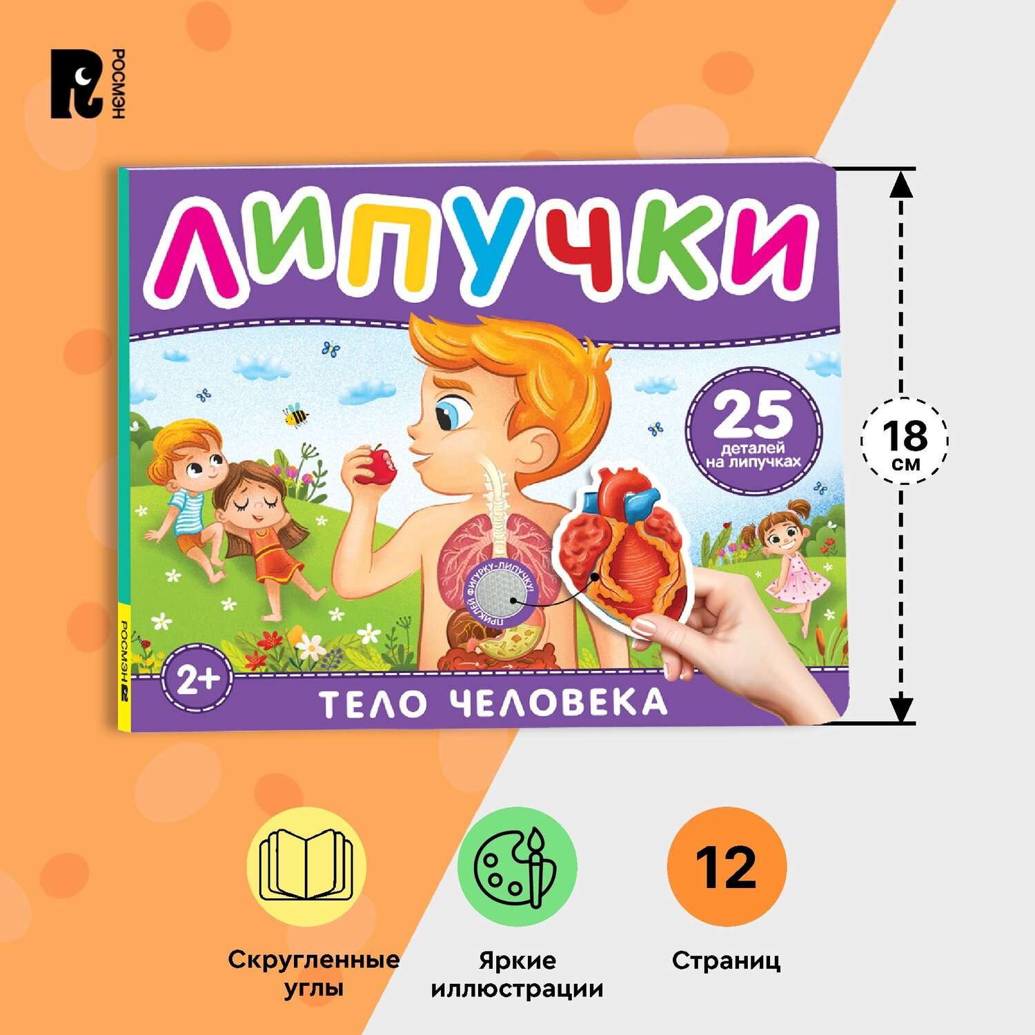 Книга Тело человека Книга с липучками - фото 11