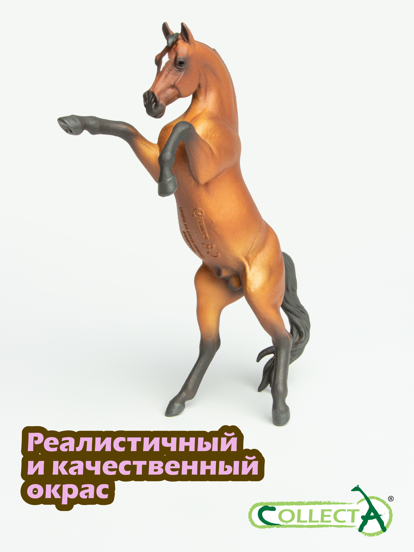 Фигурка Collecta Арабский гнедой жеребец - фото 4