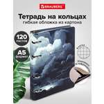 Тетрадь Brauberg клетка