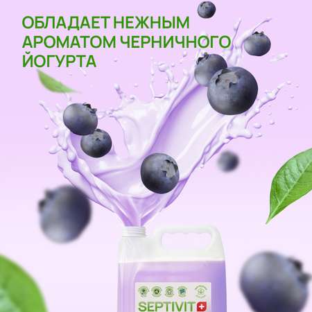 Мыло жидкое SEPTIVIT Черничный йогурт 5250 г 5000 мл