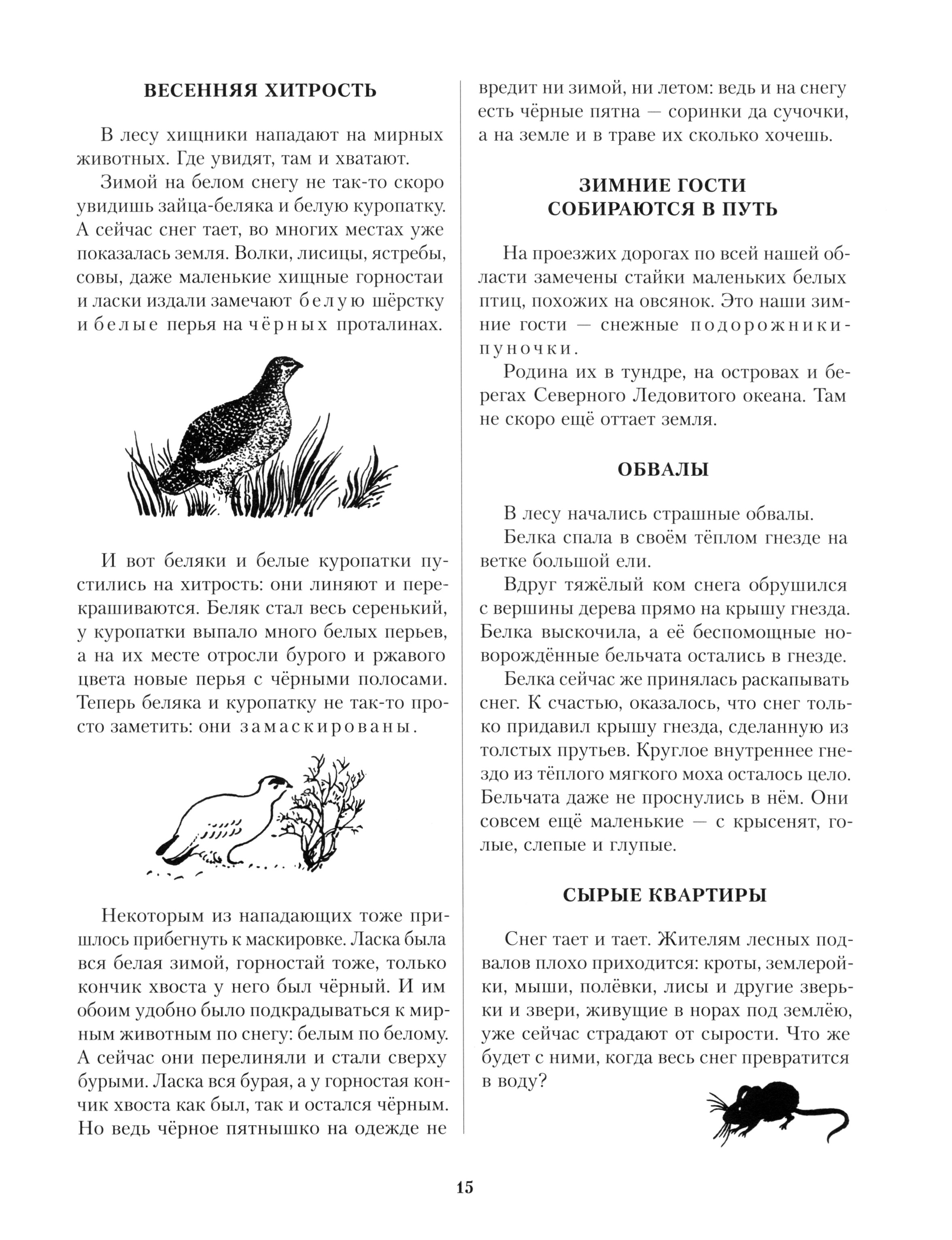 Книга ИД Мещерякова Лесная газета Весна - фото 4