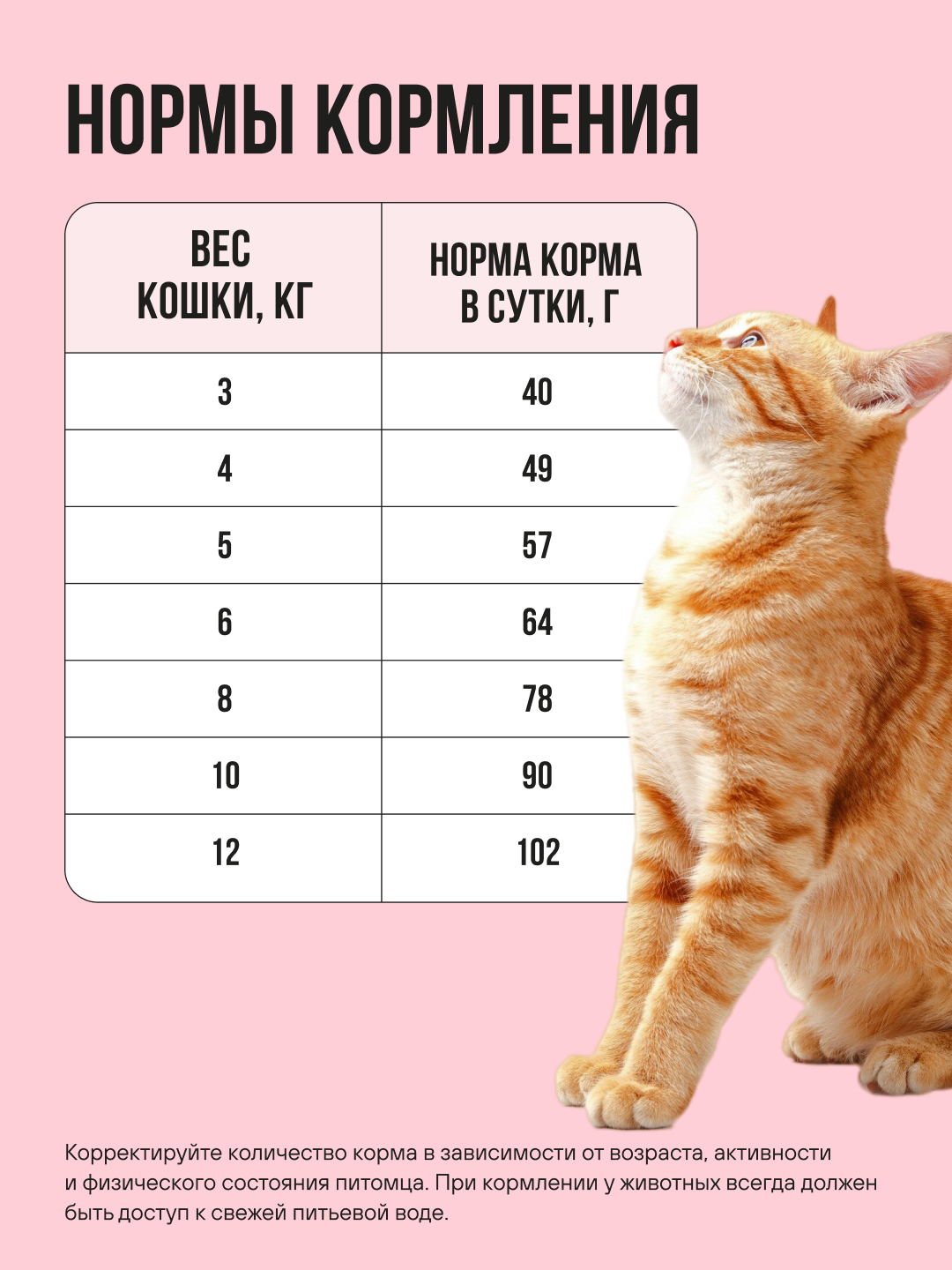 Корм сухой полнорационный BOWL WOW для взрослых кошек с индейкой, курицей и яблоком 1.5кг - фото 5