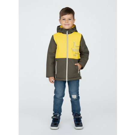 Куртка Arctic kids