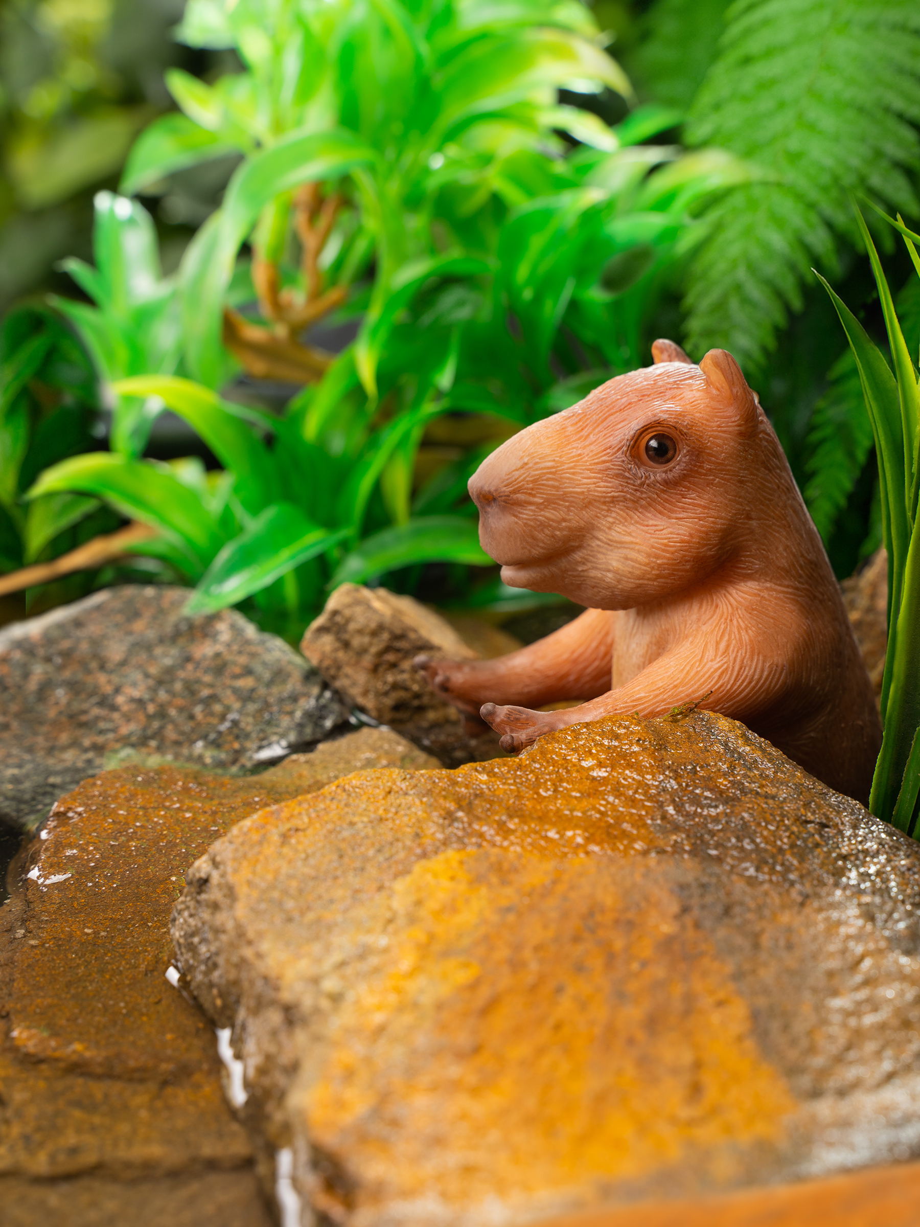 Кукла мини Magic Manufactory "Magic Forest", Капибара высота 10 см 4631175965915 - фото 10