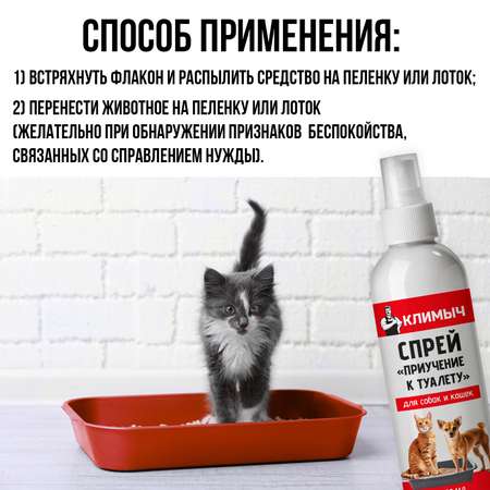 Спрей Приучение к туалету для собак и кошек 200 мл CLM0117