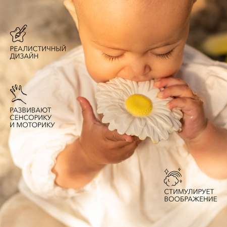 Прорезыватель OLI and CAROL