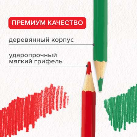 Карандаши цветные Brauberg 36 шт.
