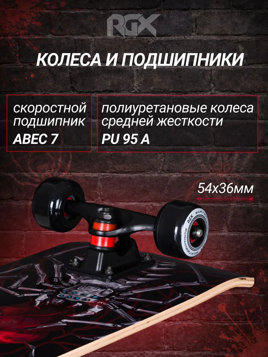 Скейтборд RGX - фото 6
