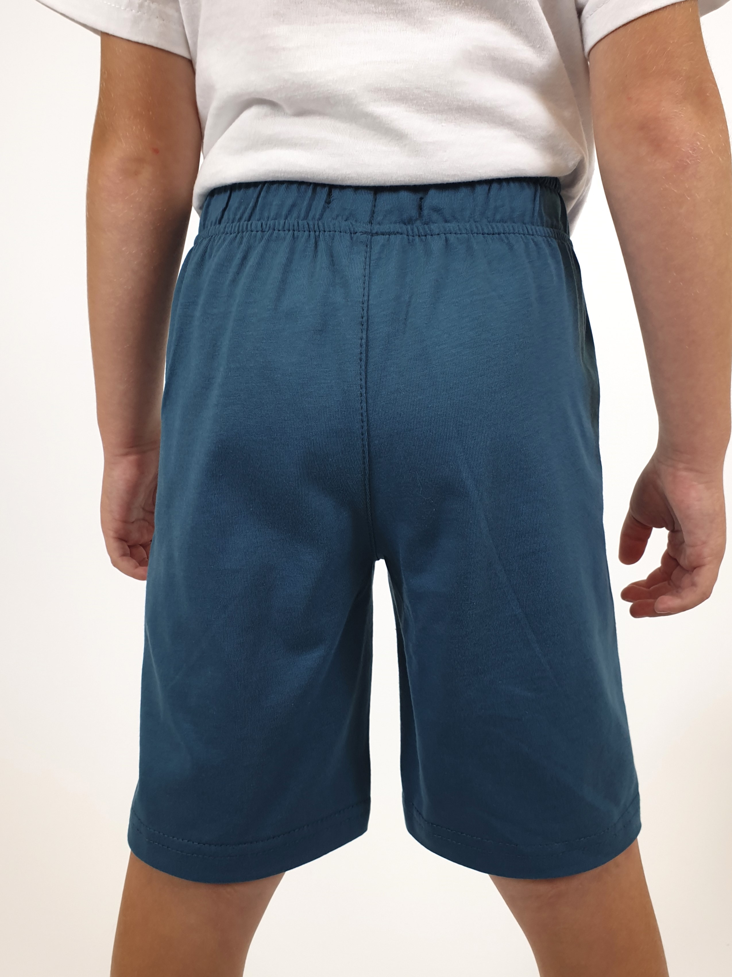 Шорты Luneva 18-28-4. - фото 6