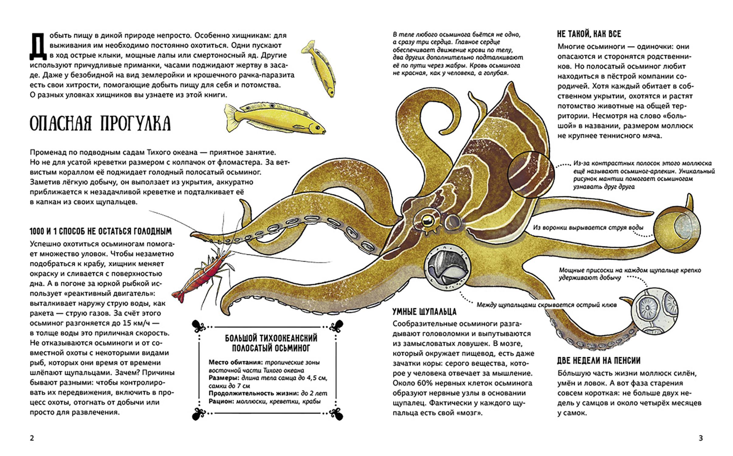 Книга Абраказябра Я тебя съем! Секреты коварных хищников - фото 2