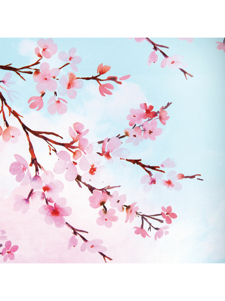 Общая тетрадь Brauberg клетка 80 лист. - фото 8